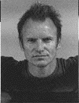 Sting.gif (1899 Byte)