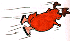 chriss11.gif (1899 Byte)