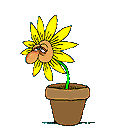 ruhme.gif (1899 Byte)