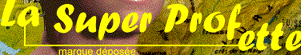 sprofette.gif (1899 Byte)